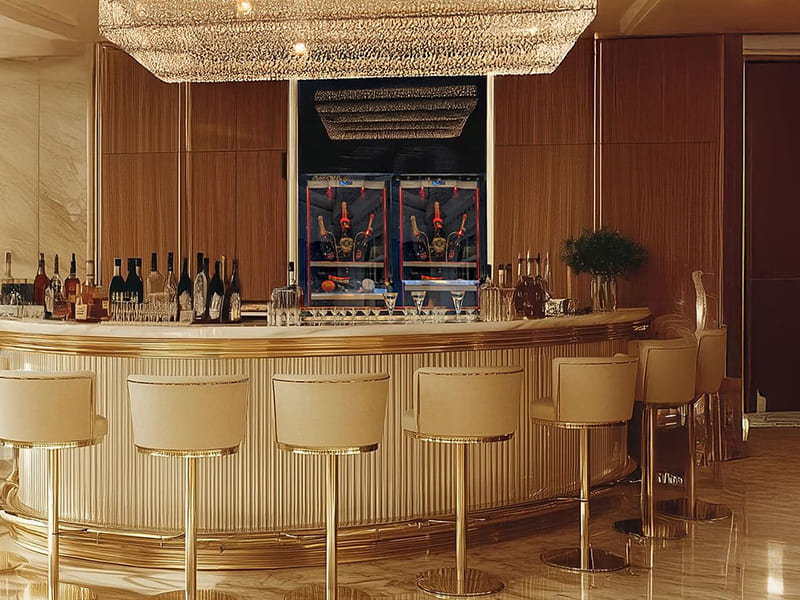 DISTINCTIVE WINE FRIDGES