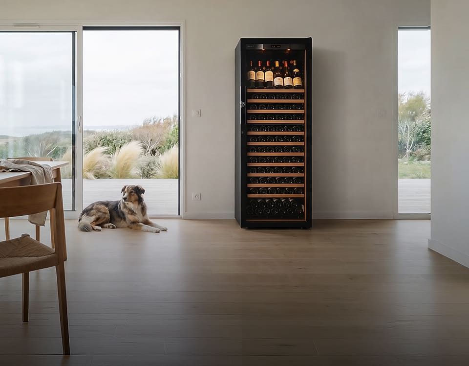 Wine fridges for the living room