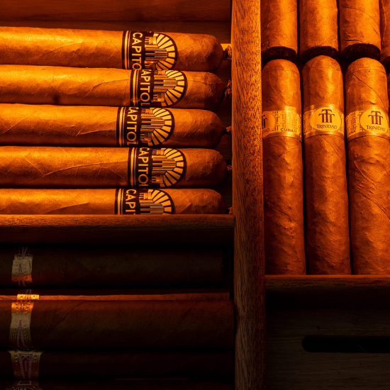 Professional French electric cigar humidor EuroCave EuroCave