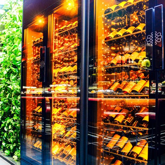 Professional double-door refrigerated wine display cabinet, single temperature, 180 bottles - ShowCave