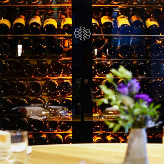 Professional double-door refrigerated wine display cabinet, single temperature, 180 bottles - ShowCave