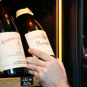 Small maturing cabinet, 1 temperature - Revelation