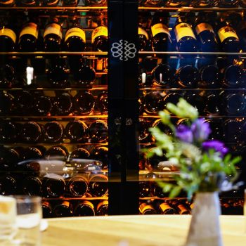 Professional double-door refrigerated wine display cabinet, single temperature, 180 bottles - ShowCave