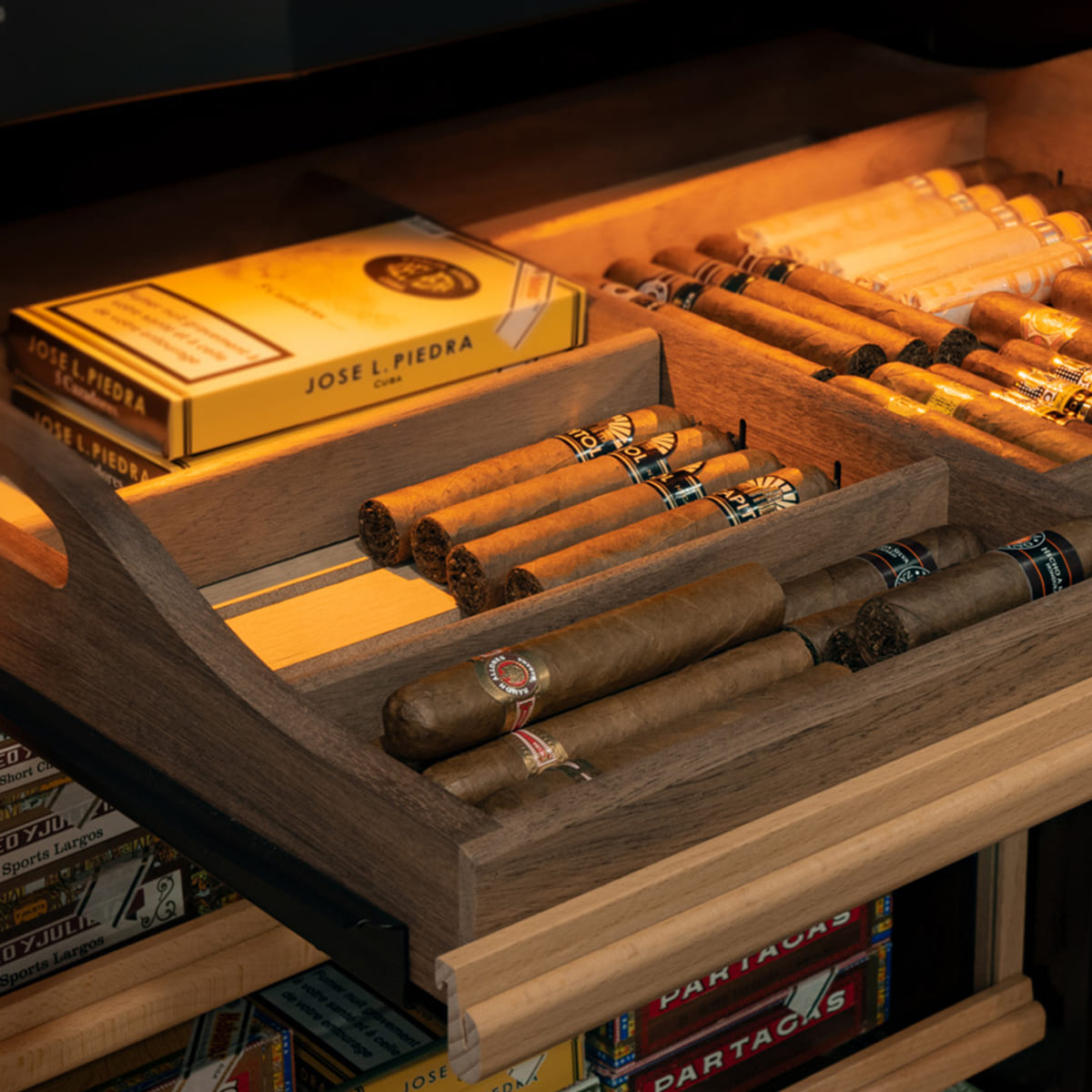Professional French electric cigar humidor EuroCave EuroCave
