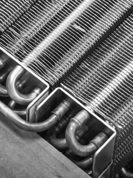 EuroCave awarded the Living Heritage Company label for its expertise