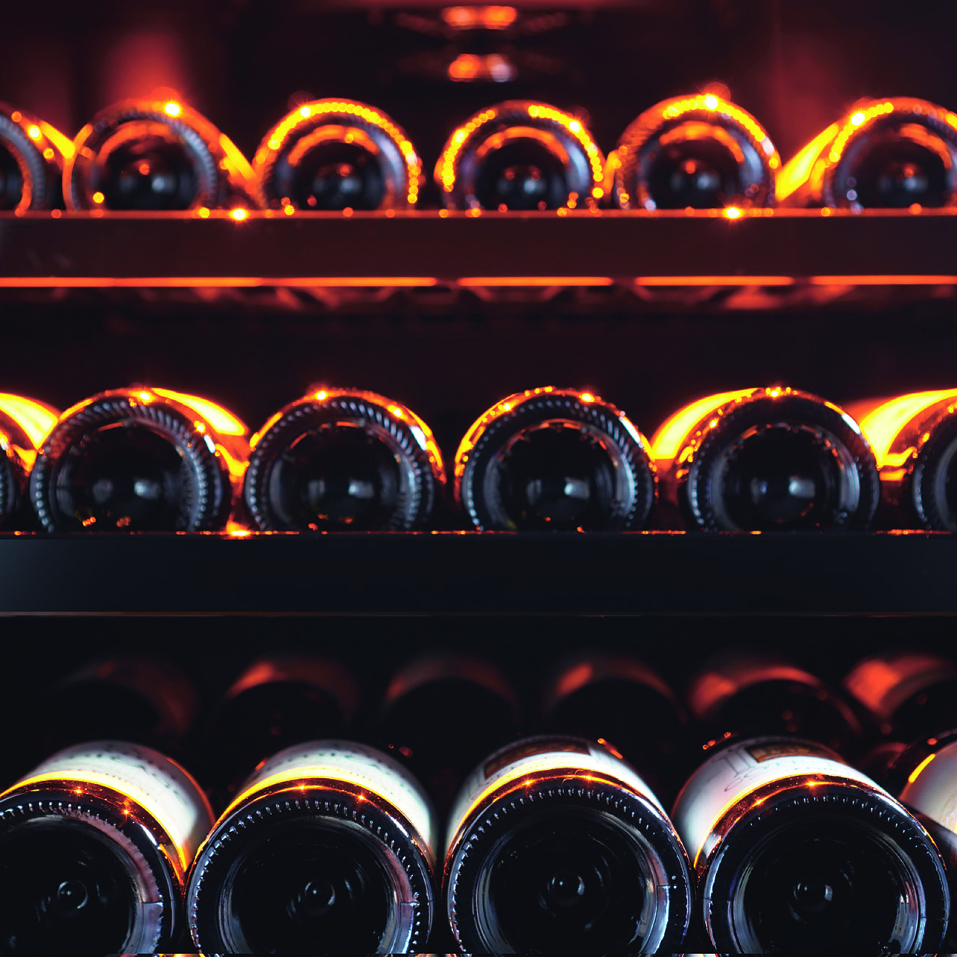 Wine cooler storage - metal shelves with individual bottle holders, glossy black front. Wine cooler storage - metal shelves with individual bottle holders, glossy black front.