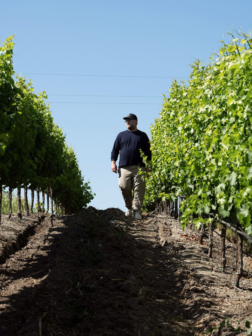 Talk with Dan Petroski - Winemaker - United States, Napa Valley Talk with Dan Petroski - Winemaker - United States, Napa Valley