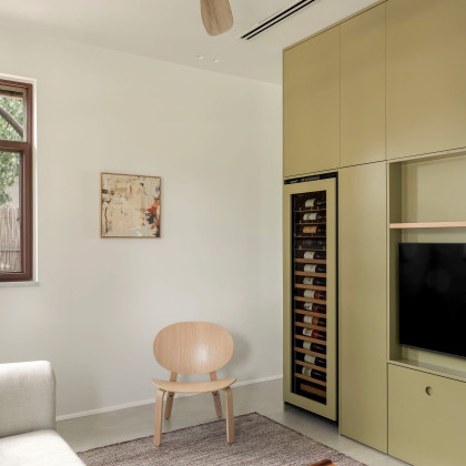 built-in-wine-cooler-fit-in-a-beautilful-custom-made-green-piece-of-furniture-eurocave-inspiration-israel.jpg
