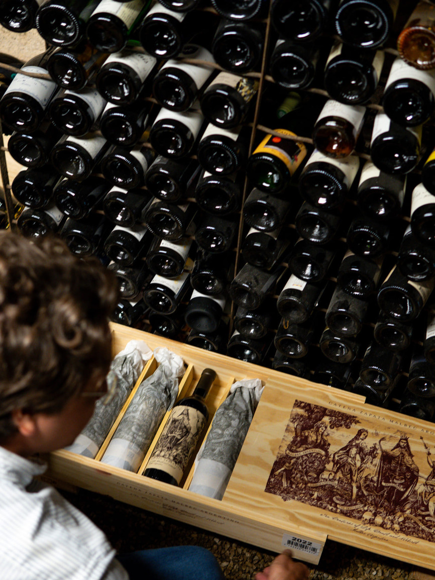 In Théo's cellar, wine selection.